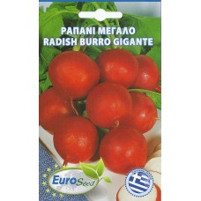 ΡΑΠΑΝΙ ΜΕΓΑΛΟ σπόροι Σπόροι - Λιπάσματα - Φάρμακα fytoidea.gr